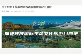 导游编撰“上海母女3年前死于景区大门口”、“每年死亡20人”？相关部门已立案！图片