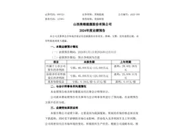 由盈转亏，美锦能源2024年业绩大跌，控股股东“输血”护航图片
