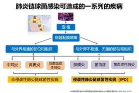 警惕！肺炎支原体还没走，又出现混合感染图片