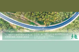 海南又开通一条旅游公路！466公里，这次是看热带雨林图片