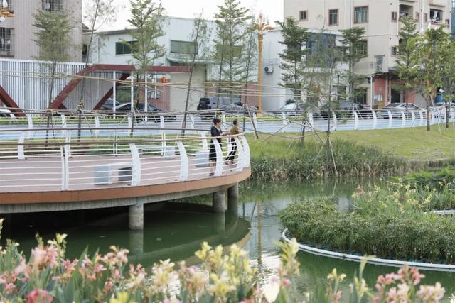 运动、遛娃、拍照全安排！东莞人“家门口”又上新了