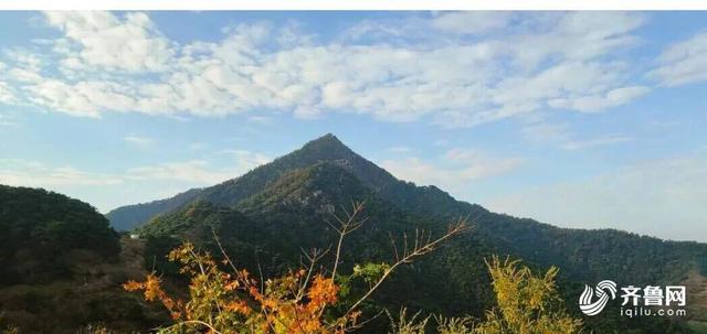 组图丨一大波美图来袭！泰山景区9个赏秋地超出片