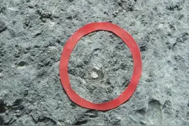 今日宜寻宝丨什么？这些宝石，就在我家门口？图片