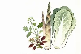 快来尝尝这口“春日滋味”！津城头茬蔬菜“鲜”登场图片