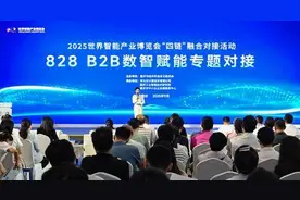 2025智博会｜帮助中小企业快速上云 828 B2B数智赋能专题对接活动举行图片