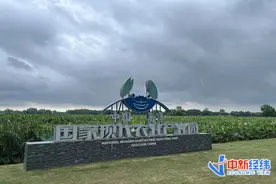 产区实探！今年大闸蟹为何上市晚、价更高？何时买便宜？图片