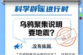 中新真探：乌鸦聚集就说明要地震了吗？图片