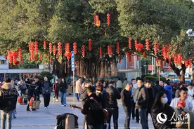 1200万元消费券、最高100万元摘星奖励  厦门思明推出系列惠民惠企新春“大礼包”图片