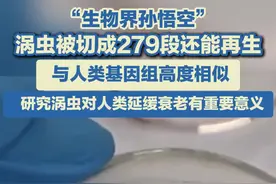“生物界孙悟空” 涡虫被切成279段还能再生 与人类基因组高度相似图片