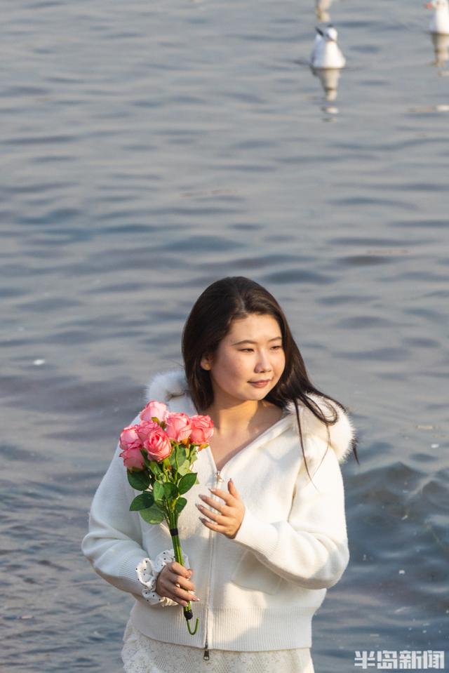 栈桥赏鸥已开始进入最佳观赏期！