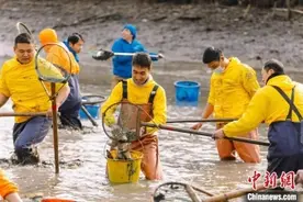 杭州西溪干塘节开塘“浑水摸鱼” 48斤“鱼王”惊喜亮相图片