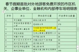 首批16处2011个！春节假期镇江这些停车场免费对外地游客开放图片