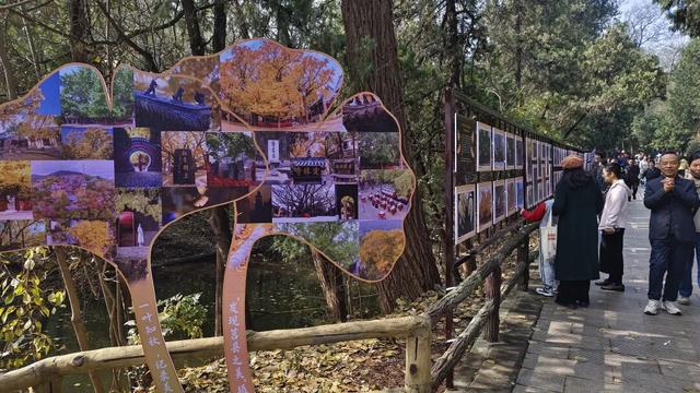 央视报道！就是现在！最佳赏叶期！还有玩法大升级……