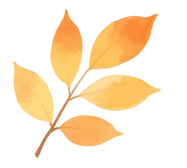 把冬天拍成油画！上饶这片水杉林，氛围感直接拉满