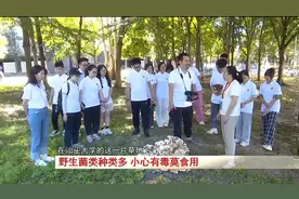 注意！野生菌类种类多，小心有毒莫食用图片