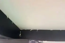 一火锅店餐桌背面涂蟑螂药，2岁男童误食中毒，心肌损害！多方回应图片