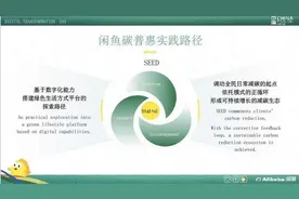 闲鱼总裁丁健：让减碳被用户感知是个人积极减碳的关键图片