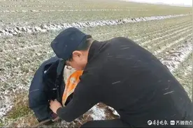 雪天麦地里，民警脱衣裹住走失老人，这一刻，暖哭了图片