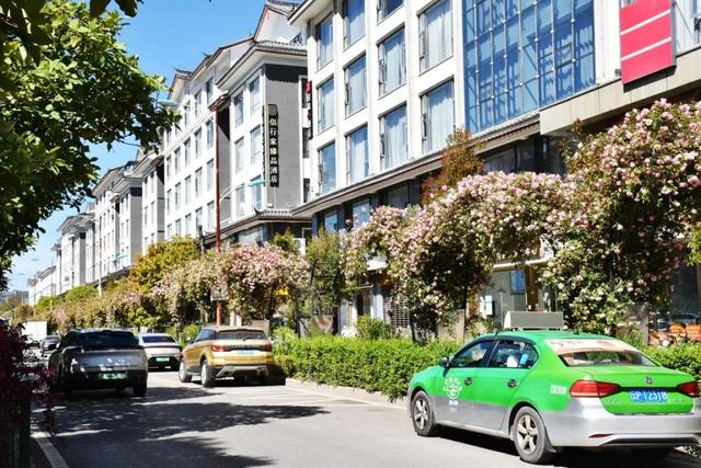 花漾丽江丨花瀑漫街！快被丽江这条花路“香迷糊”了……