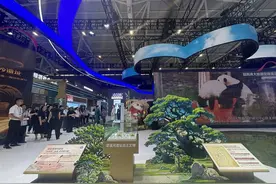 展现6万年前的生活印记 四川资阳濛溪河遗址在文博会上“吸睛”图片