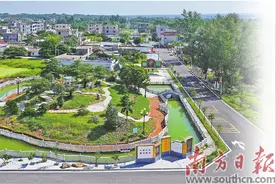 雷州以“一业旺”带动“全域兴”图片