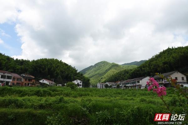 【高清湖南】玉池山居图：在青山绿水田园间，与美好相遇