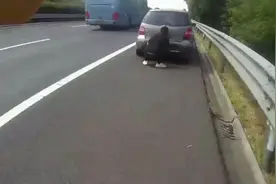 视频｜停车扎捆保险杠不摆放三角牌，司机理由竟是没怎么上过高速图片
