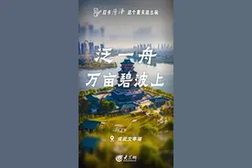 打卡菏泽，这个夏天这么玩图片