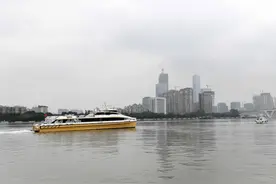 琶洲港澳客运码头将开通穿梭巴士往返地铁站？正研讨可行性及车船联乘问题图片