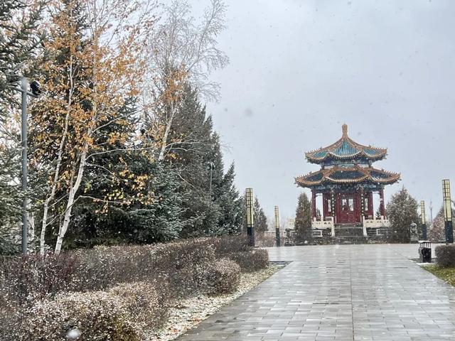 遇见2025年五大连池第一场雪，年年落雪，雪落年年～