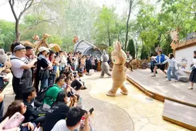 离海外再造一个泡泡玛特还有多远？图片