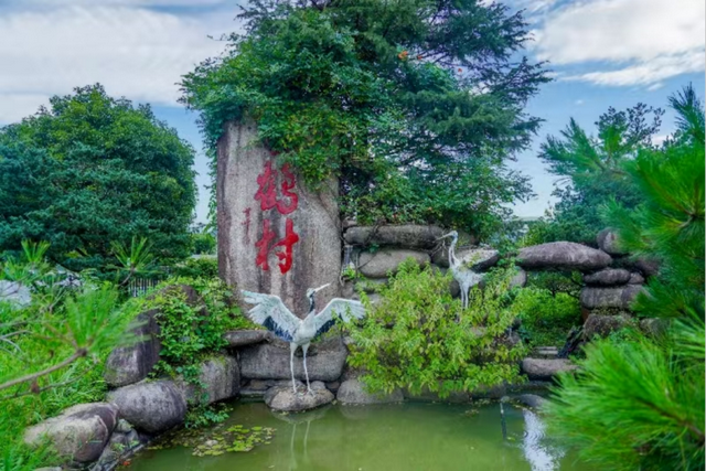 驾游浙江 | 自驾新宠！探秘天目山，这条环山公路美成仙境