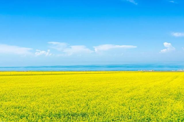 2026大皖研学夏令营·青海篇｜移动城堡房车6日营