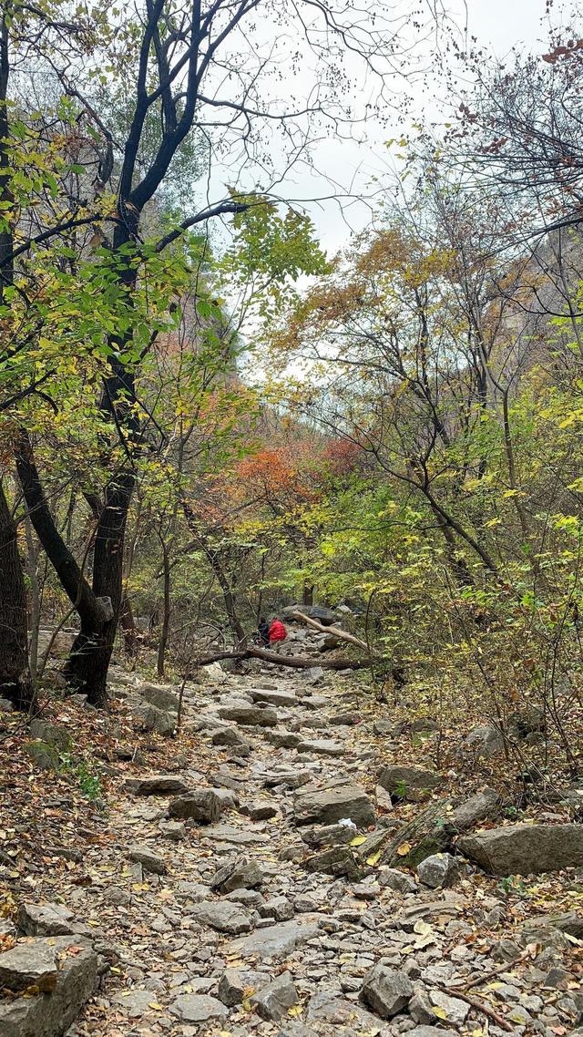 城市边缘的“野性保留地”！济南龙洞景区：探险家的乐园