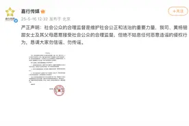 17岁女明星戴230万元耳环引热议，经纪公司最新回应图片