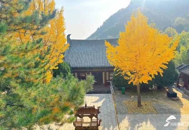 组图丨一大波美图来袭！泰山景区9个赏秋地超出片