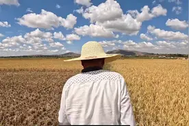 身负袁老嘱托，湖南大叔扎根非洲马达加斯加17年教当地人种水稻：产量翻了数倍图片