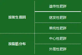 体重管理年：科学认知肥胖，有效控制体重图片