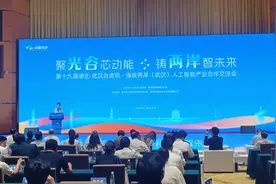 光谷搭台论“智” 两岸共话AI新篇图片