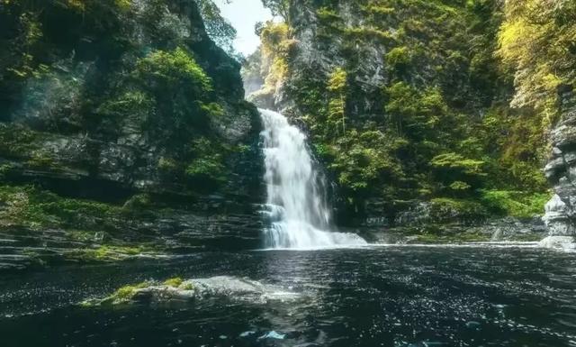 免费！优惠！明天来南宁，过重阳不“重”样！