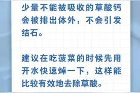 菠菜和豆腐一起吃，会得结石……是真是假？图片