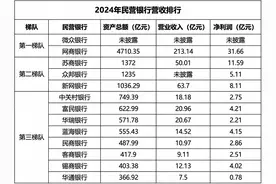 12家民营银行披露2024年年报：互联网银行持续领跑，中尾部银行业绩分化明显 | 大鱼财经图片