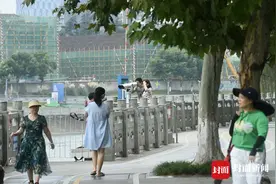 成都锦江边 市民用望远镜观看灰鹭捕鱼｜图集图片