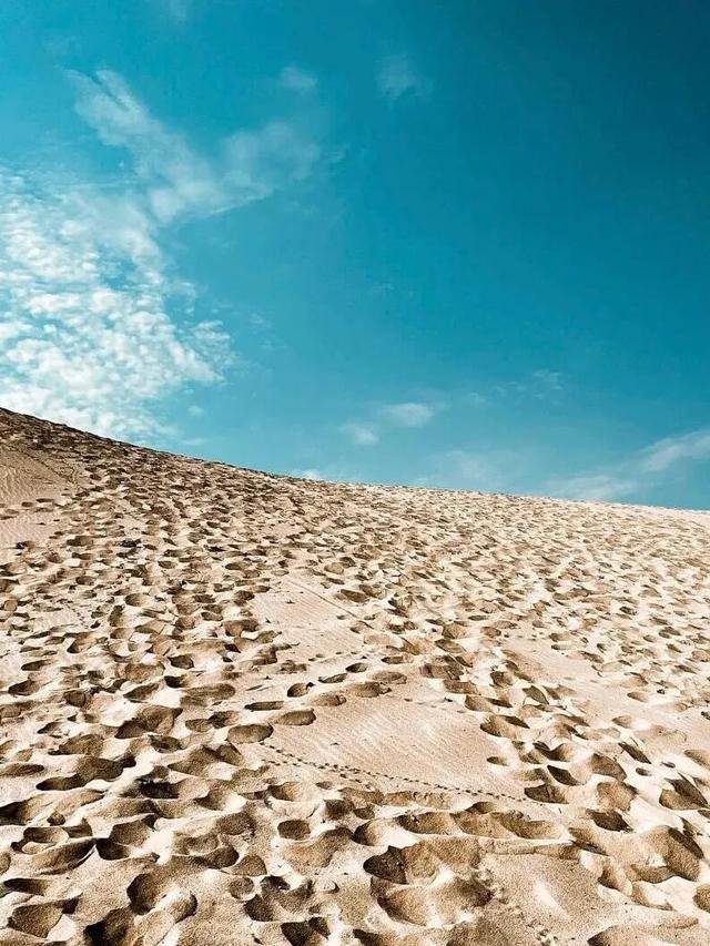 当朱迪尼克来到江西～原来这里也是疯狂动物城！