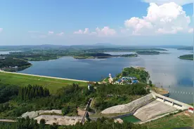 枣阳：水库生态焕新颜  共筑绿满“花园梦”图片