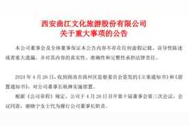 曲江文旅董事长耿琳被立案并留置 谢晓宁代为履职图片