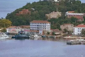 芝罘，一座连鸟儿都眷恋的城图片