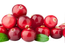 “尔滨”特产蔓越莓真有那么神奇吗？专业解读如下……网友：get到了！图片