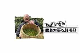 又水又甜，惊艳初夏的味蕾！吹着海风的枇杷尝鲜啦图片