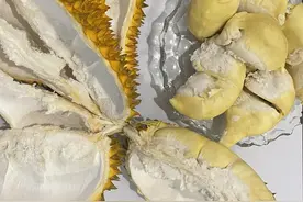 6斤榴莲2斤核？小心“甲仑”冒充“金枕”，3招教您挑选→图片